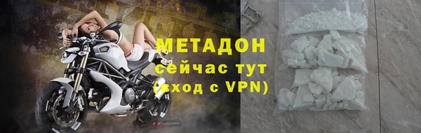 прущие грибы Вяземский