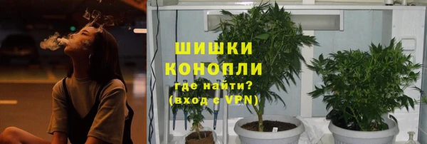 прущие грибы Вяземский
