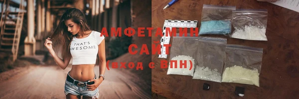 прущие грибы Вяземский