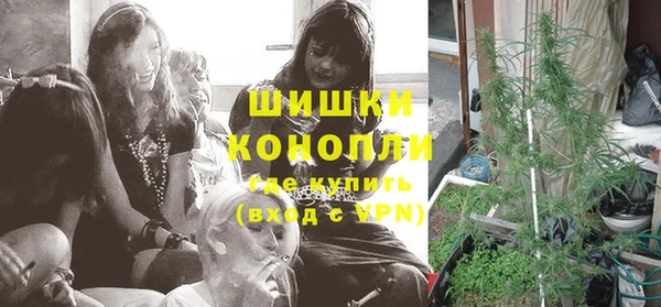 прущие грибы Вяземский