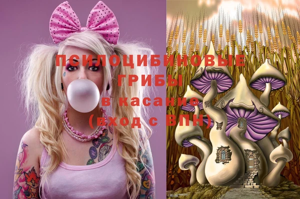 гидропоника Вязьма