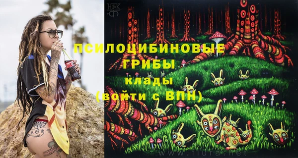 гидропоника Вязьма