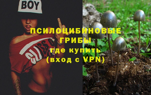 гидропоника Вязьма