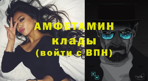 прущие грибы Вяземский