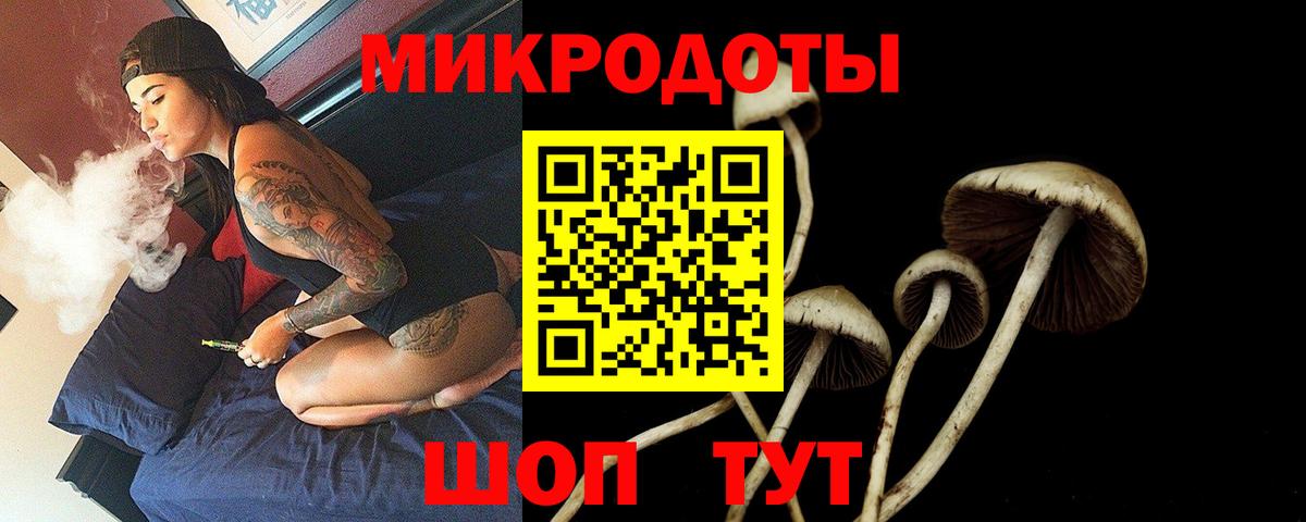 Галлюциногенные грибы мицелий Октябрьский